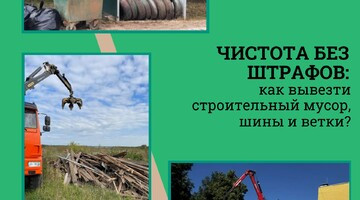 Чистота без штрафов: как вывезти строительный мусор, шины и ветки?