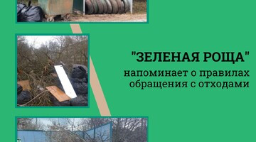 Шины и ветки — не ТКО. «Зеленая роща» напоминает о правилах обращения с отходами